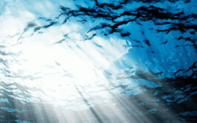 La música y el agua: Become Ocean de Luther Adams abre el Sónar 2016